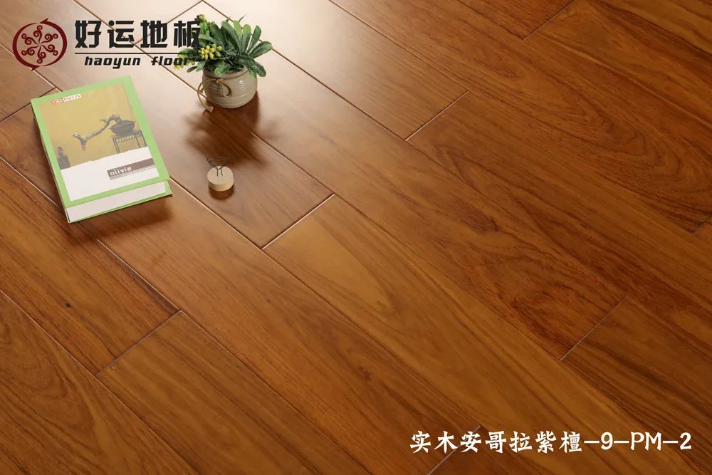 黄瓜视频成人APP33.jpg